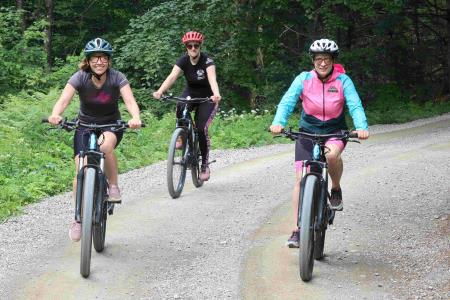 Triperesna deteljica